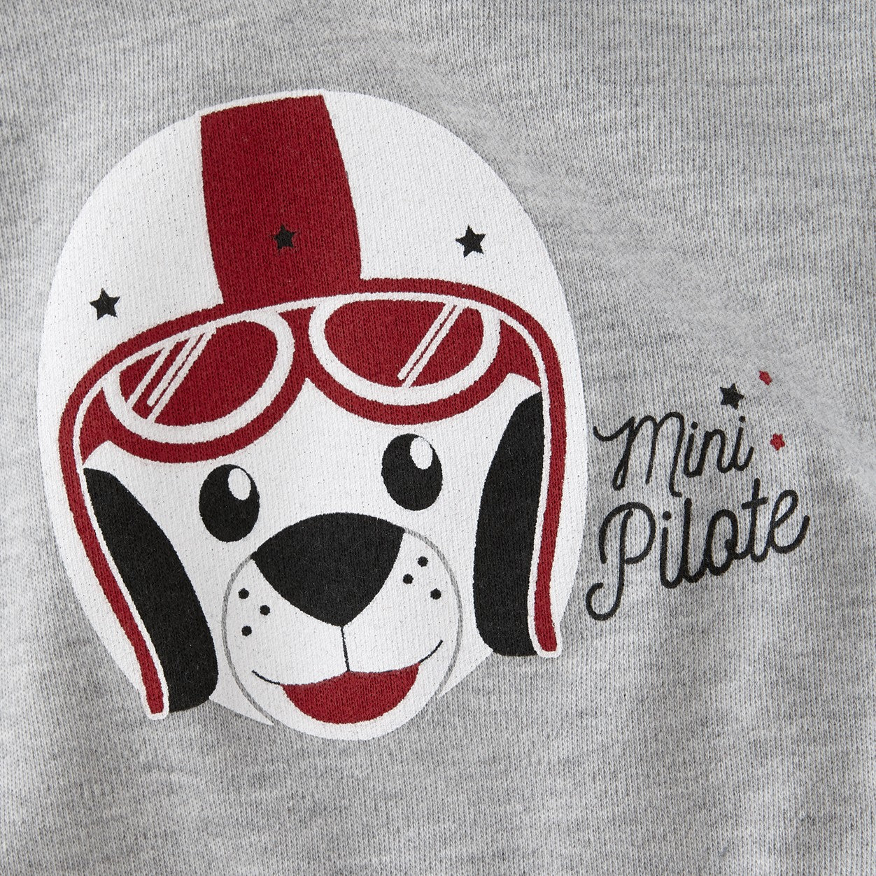 LOT DE 2 BAVOIRS CPR